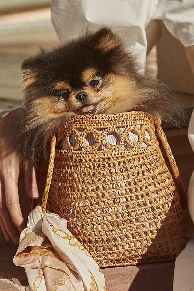 Bali Square Circle-Handle Satchel NEUTRAL