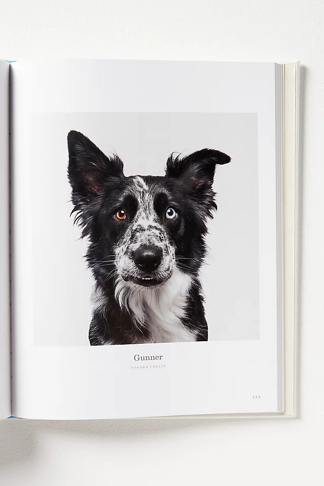 Good Dog: Leather-Bound Edition Hardcover Coffee Table Book