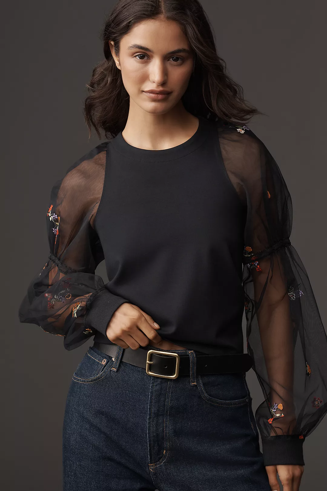 Maeve Embroidered Sheer-Sleeve Pullover