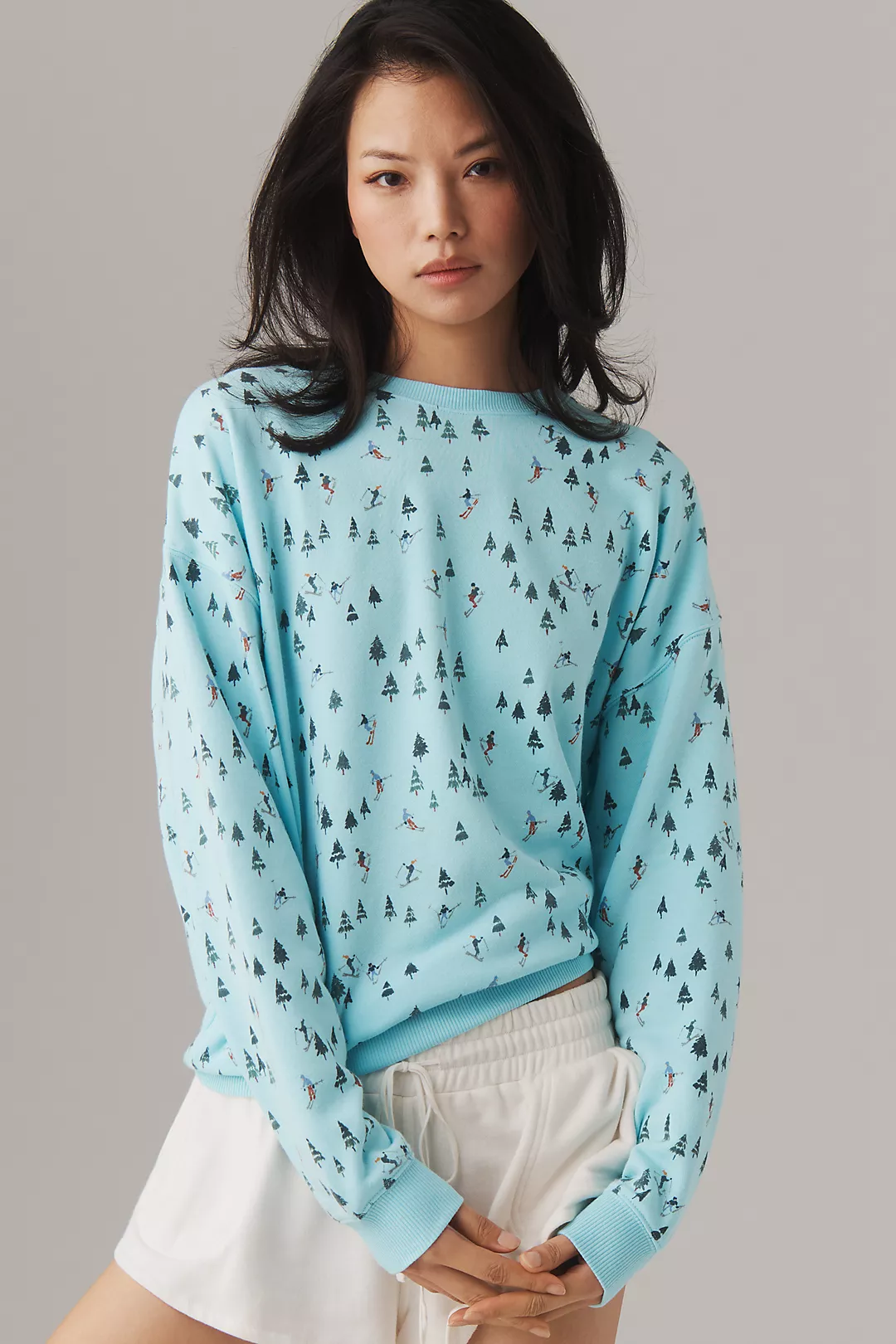 Beach Riot Devyn Alpine Crewneck Sweater