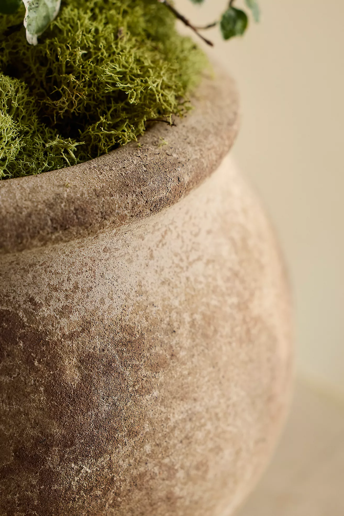 Weathered Terracotta Jar Planter