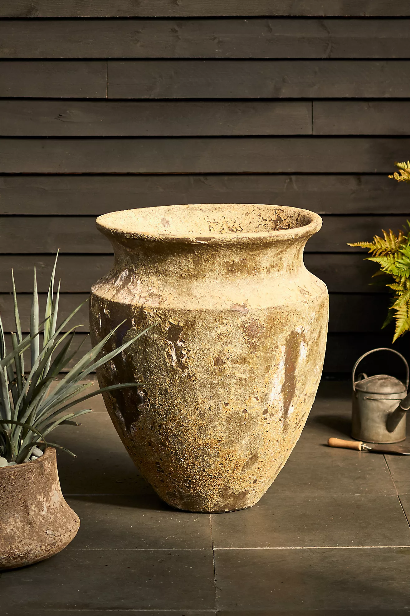 Barnacle Skorpio Planter