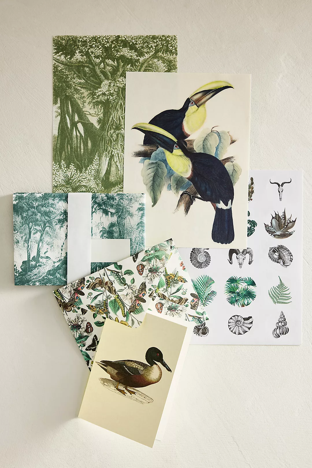 Natural History Stationery Set