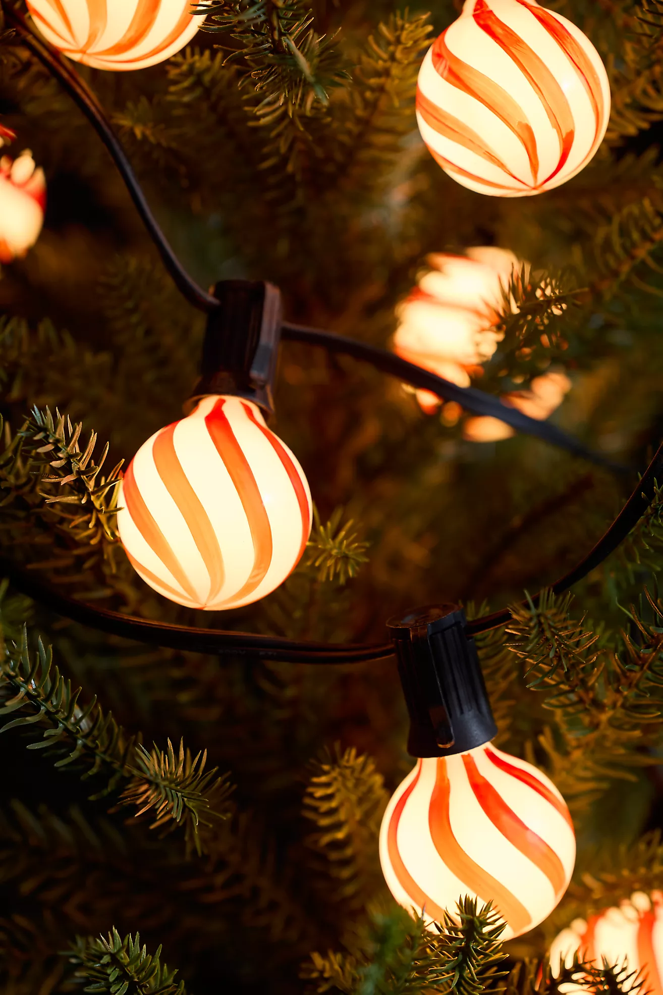 Stargazer Garden Lights, Set of 10 Bulbs, Candy Cane