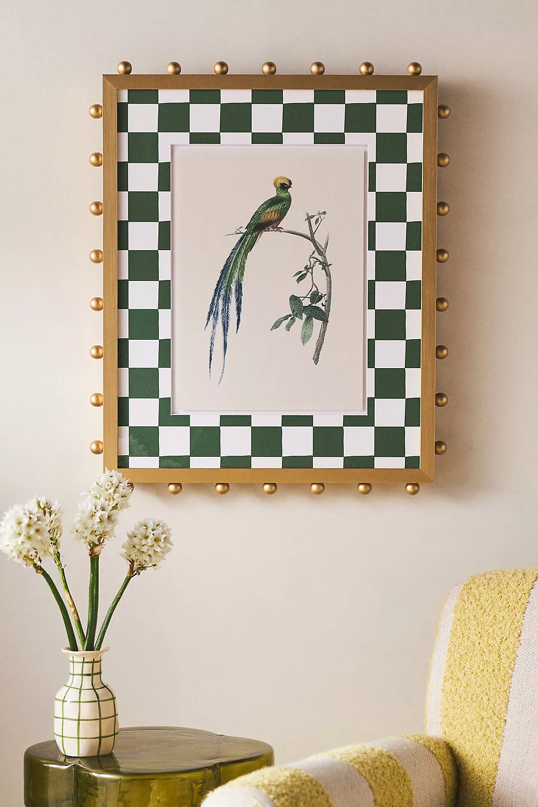 The Couroucou Resplendissant Wall Art