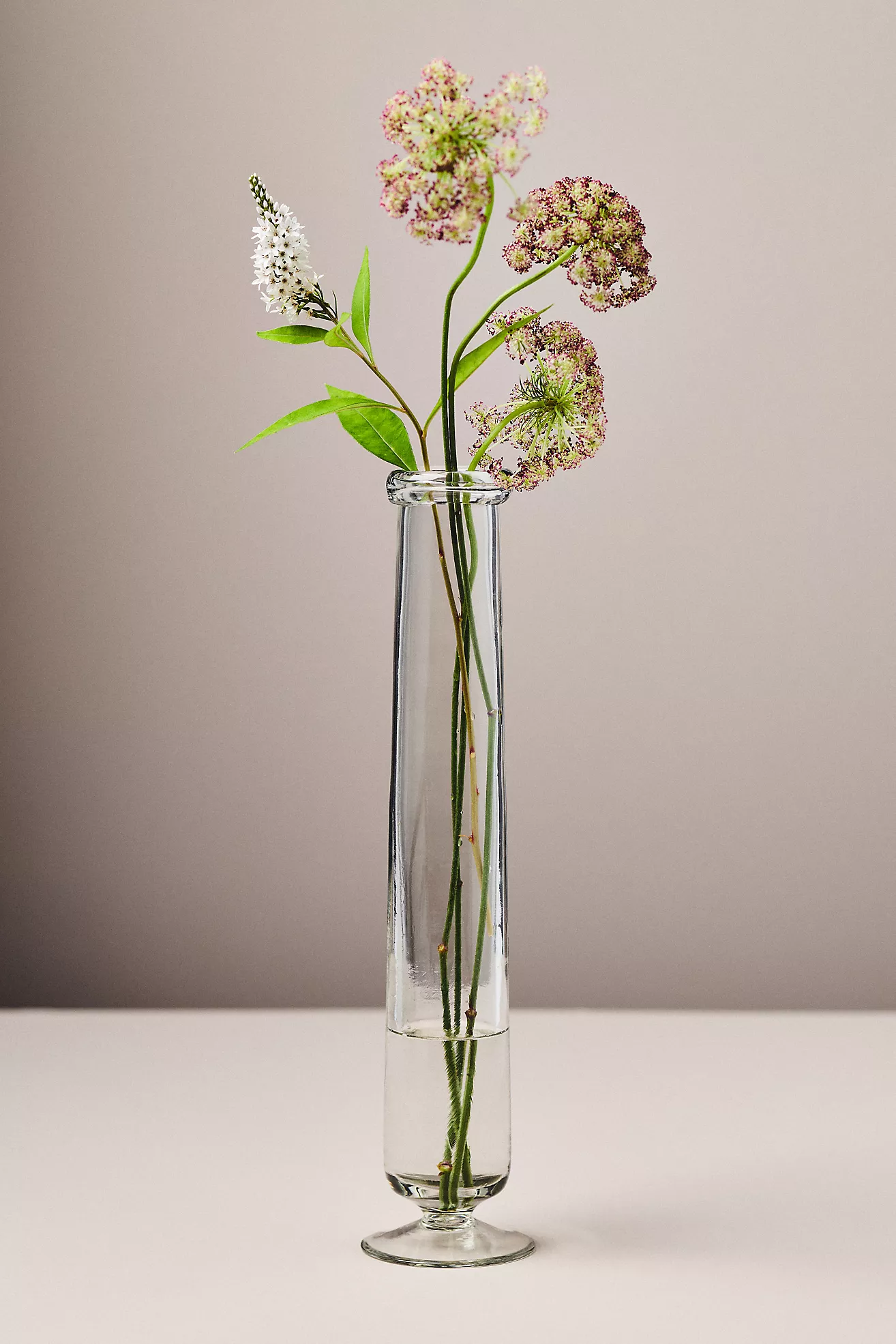 Julia Glass Stem Vase