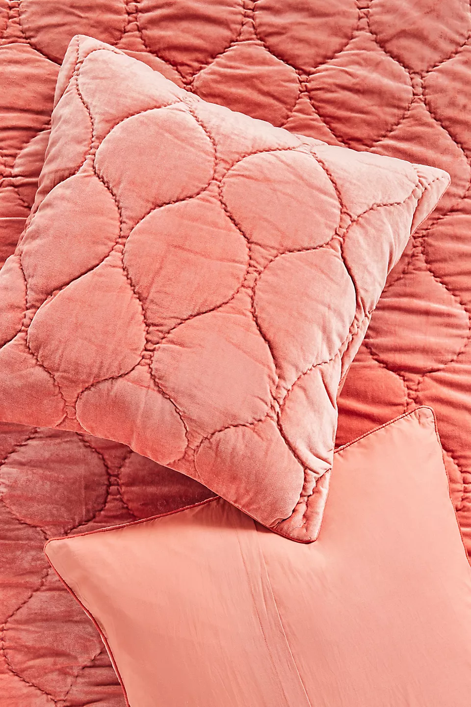 Claire Cotton Velvet Satin Euro Sham