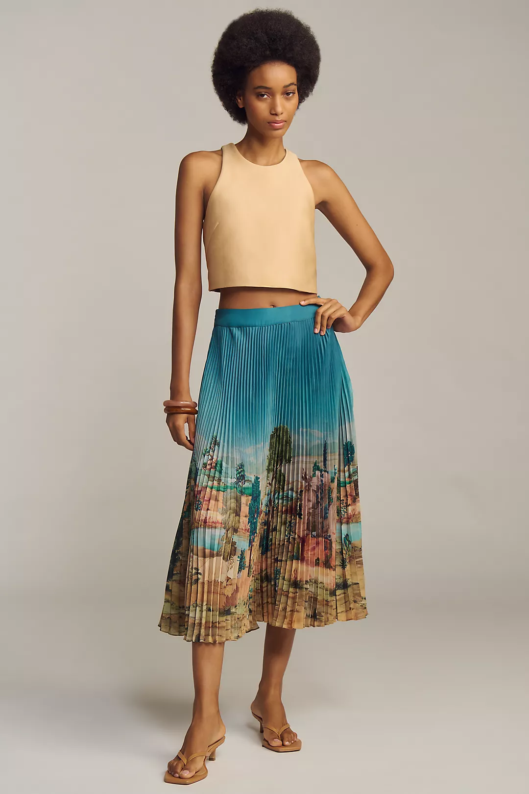 Ranna Gill Tuscany Pleated Midi Skirt
