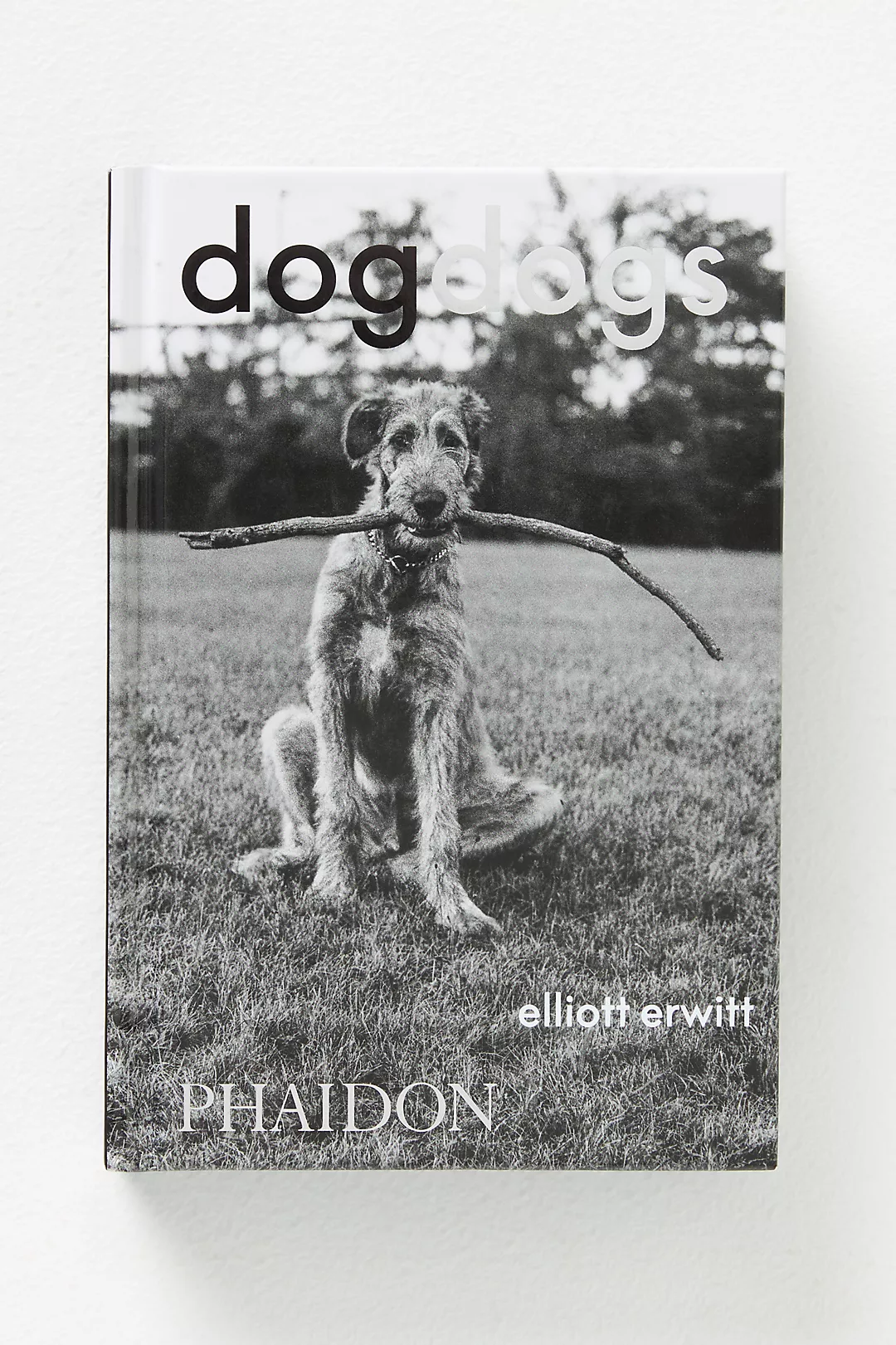 DogsDogs Hardcover Book