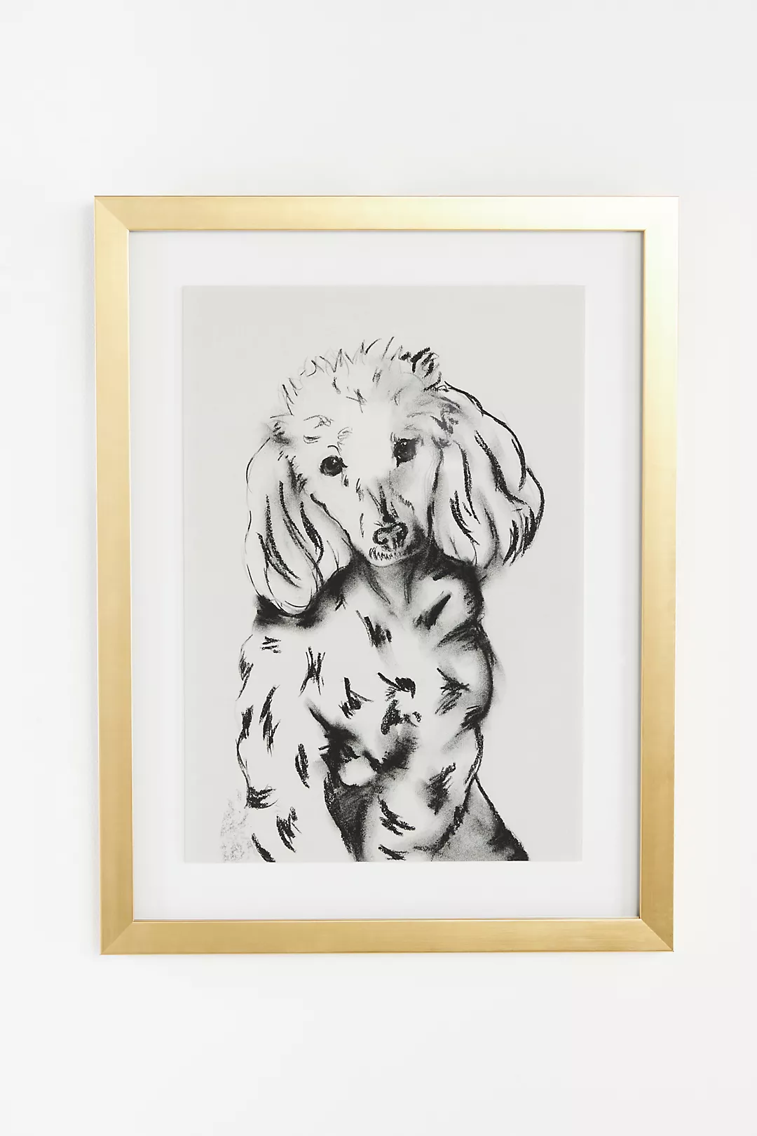 Portrait of a Pup Wall Art