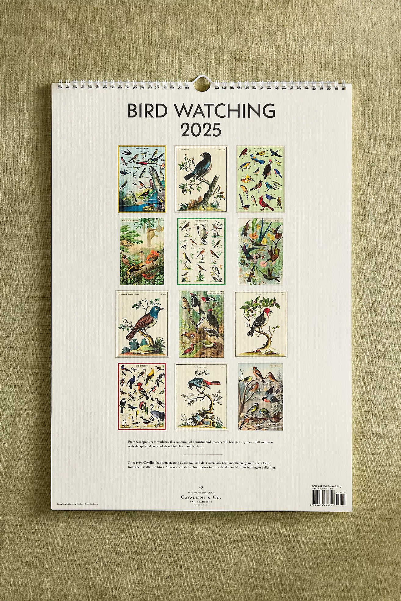 Bird Watching 2026 Wall Calendar