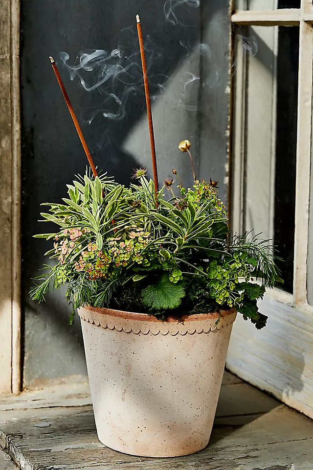 Bergs Helena Terracotta Pot + Saucer Set