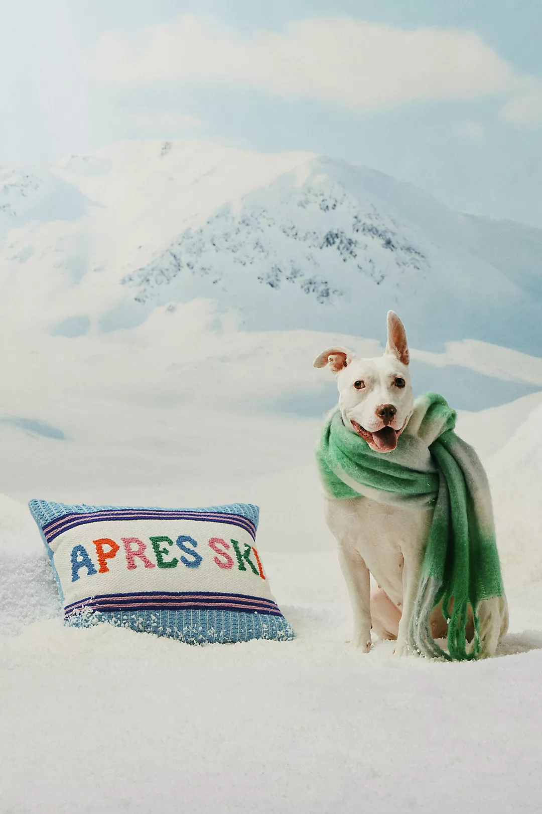 Alden Embroidered Cotton Pillow