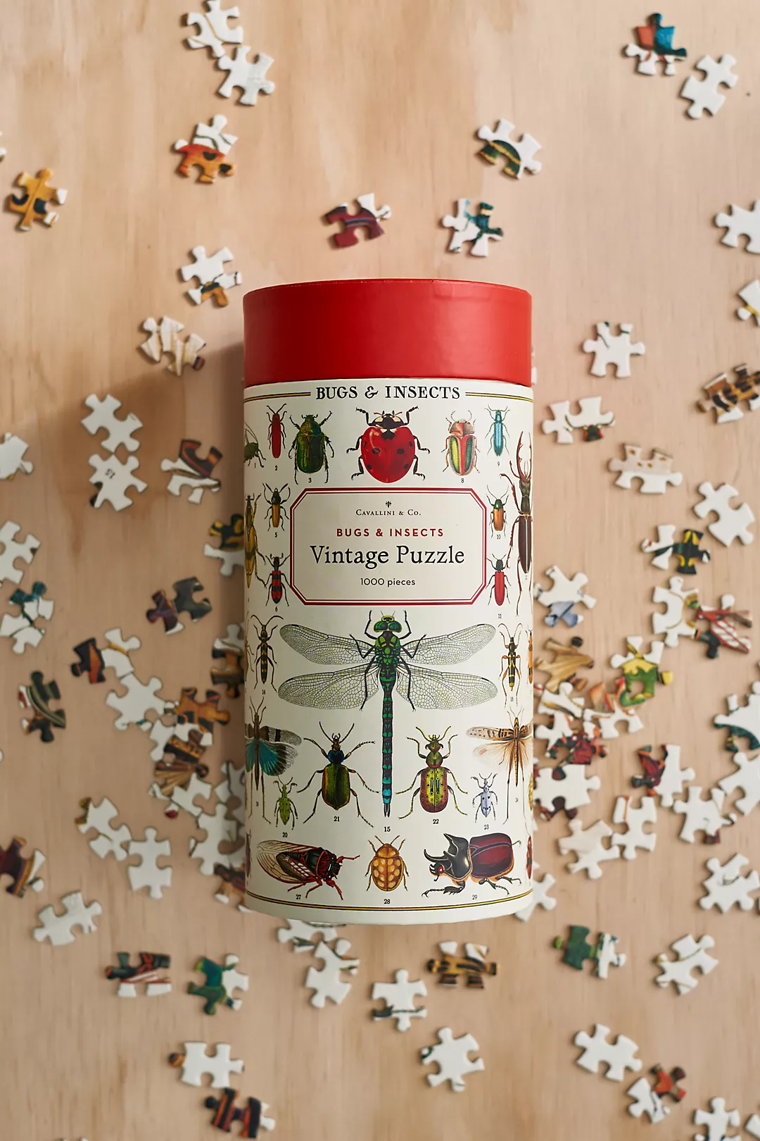 Insect Illustrations Puzzle