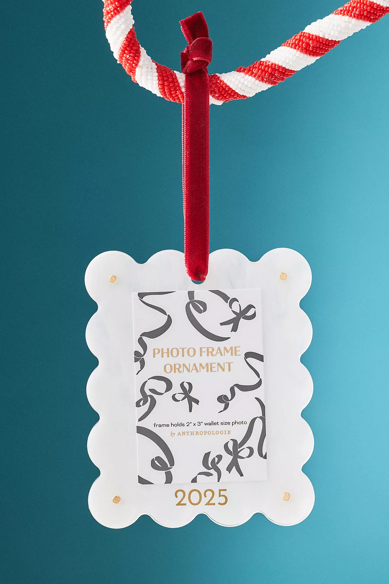 2025 Picture Frame Ornament