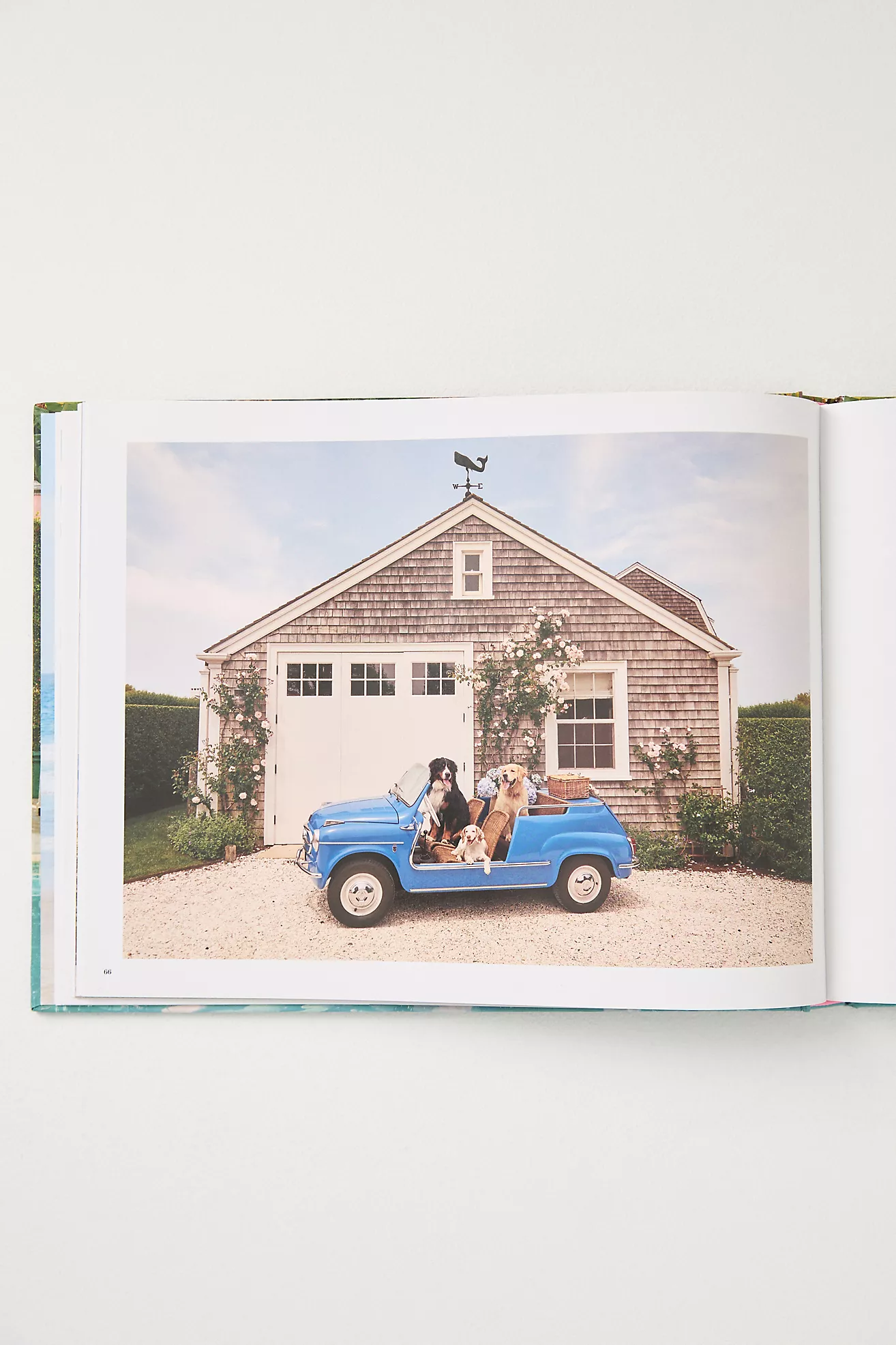 Gray Malin: Dogs Hardcover Book