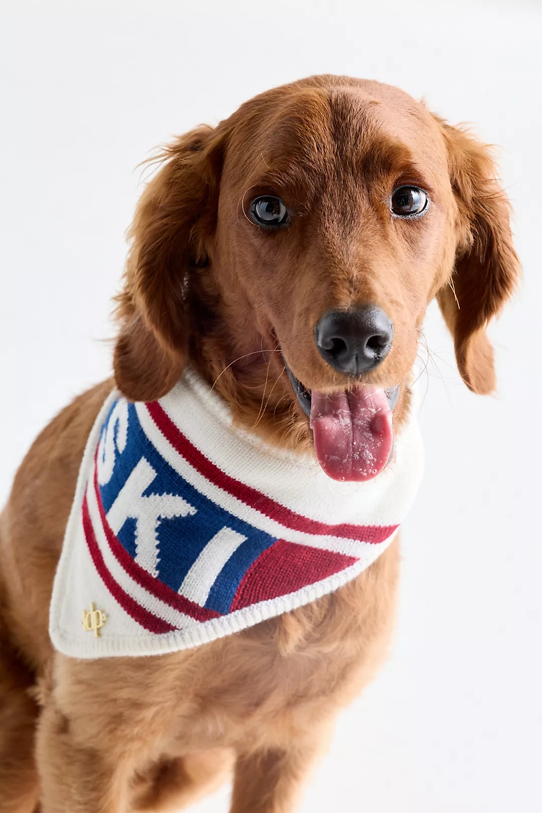 The Deluxe Pup Holiday Knit Pet Bandana