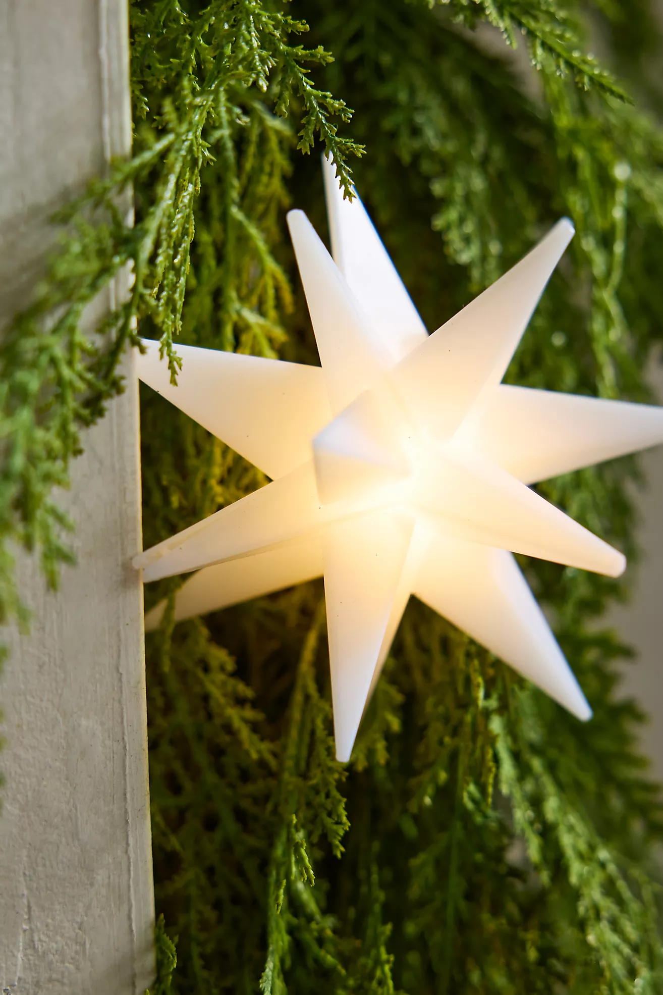 Stargazer Moravian Star String Lights