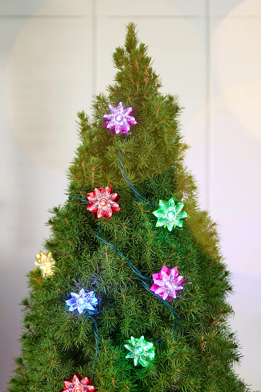 Multicolor Flower String Light