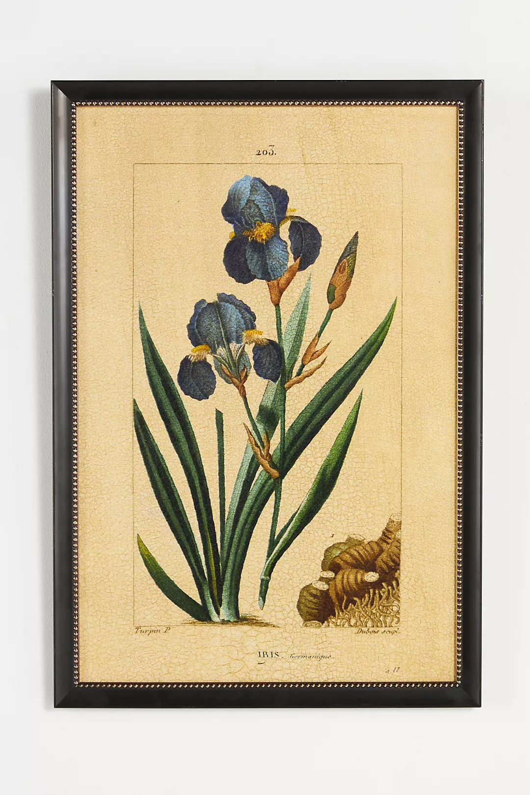 Crackled Flower Wall Art