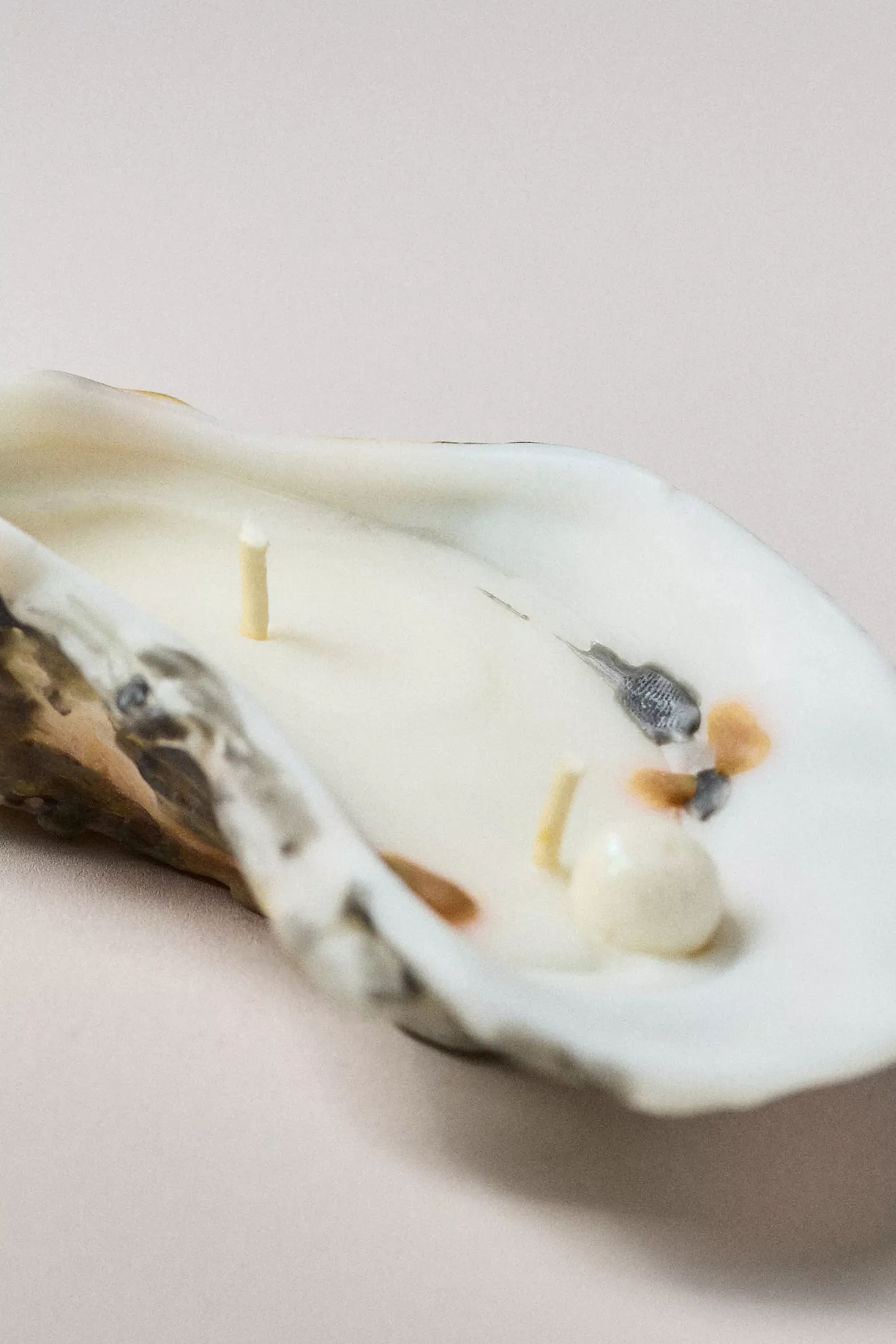 BabaBoogs Oyster Decorative Shaped Wax Candle