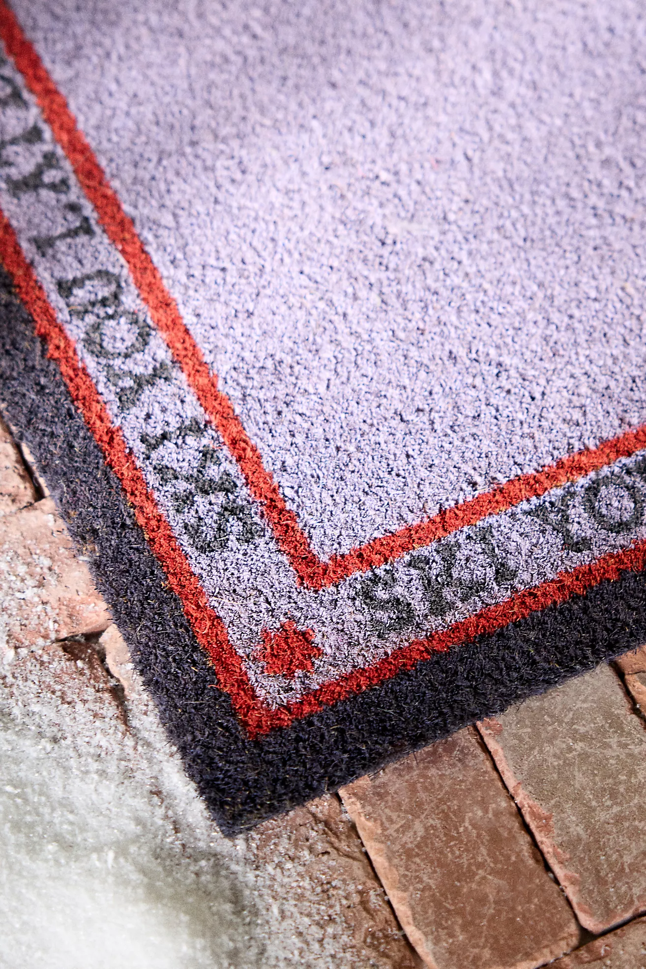 Ski You Later Coir Printed Doormat