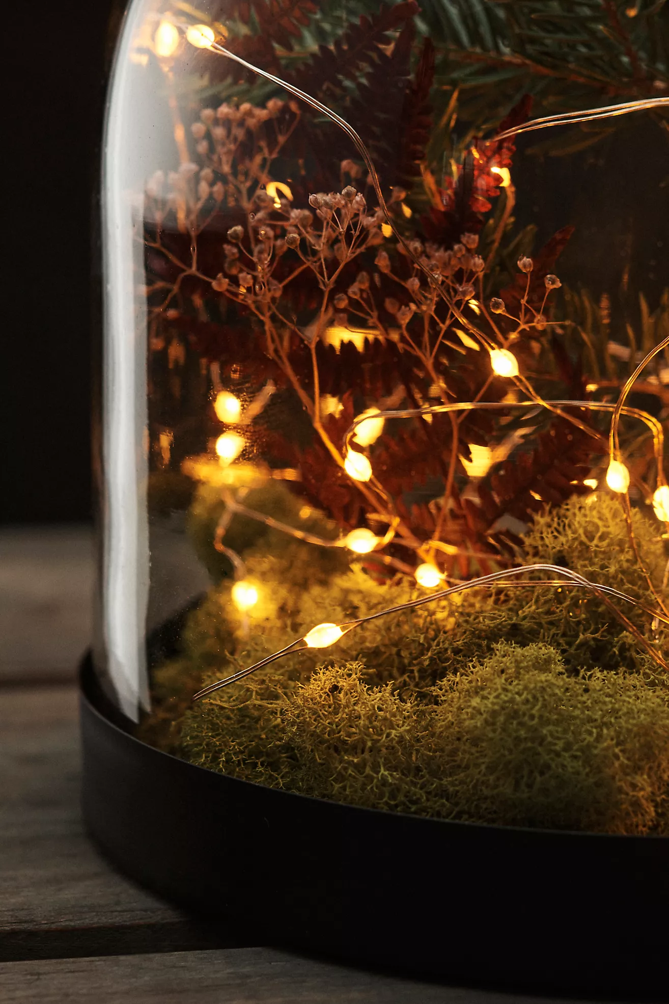 Stargazer Twinkling Rose Gold Twine Lights