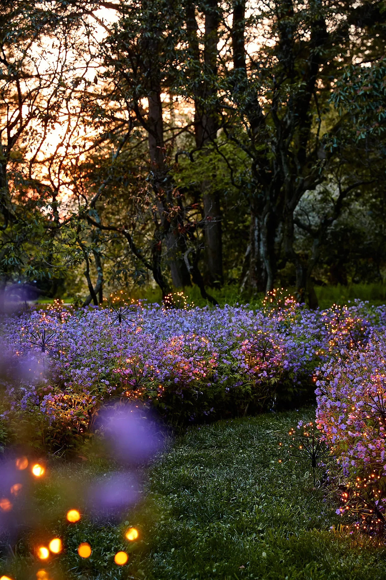 Solar Dandelion LED Stake Light
