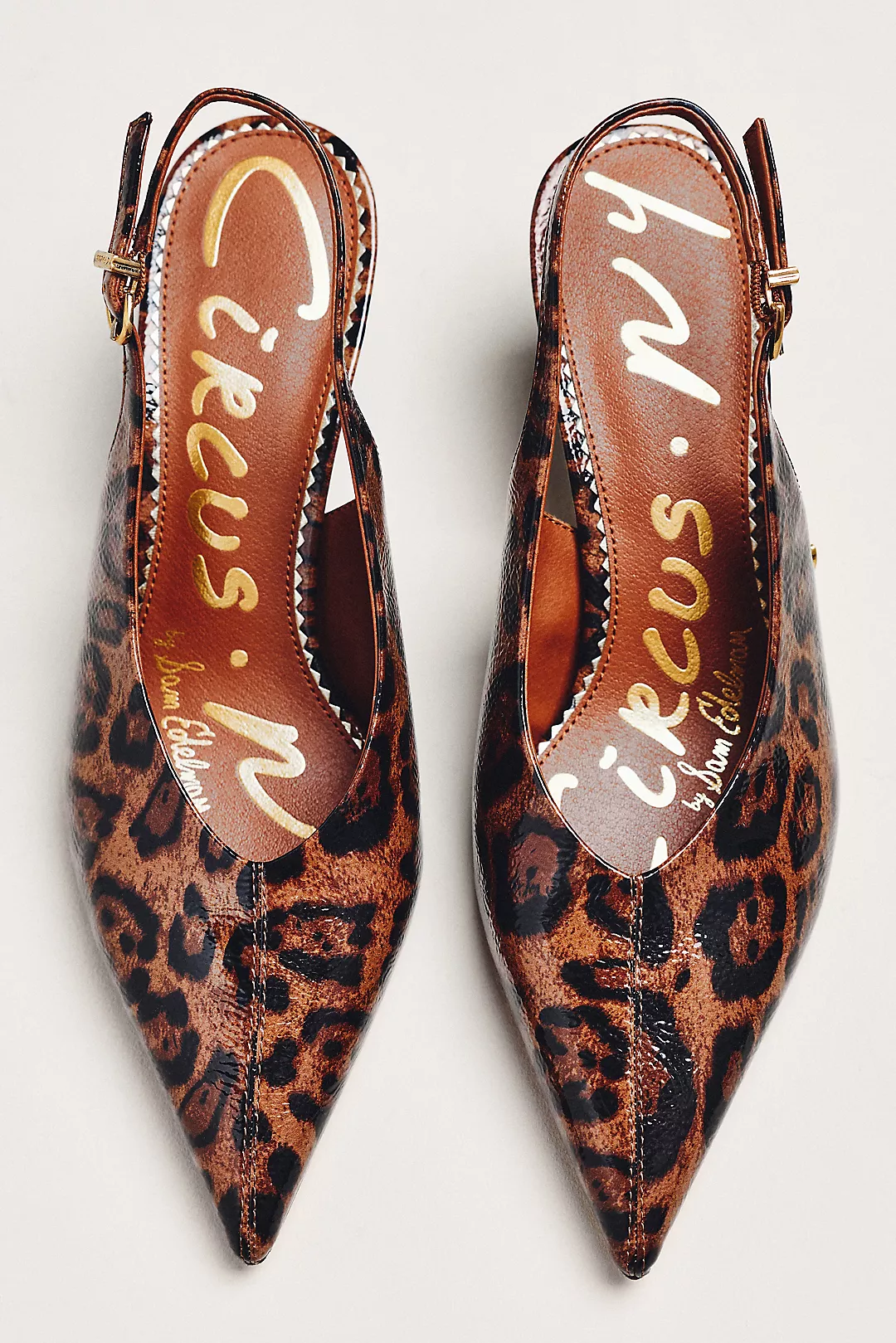 Circus NY by Sam Edelman Fawn Slingback Pumps
