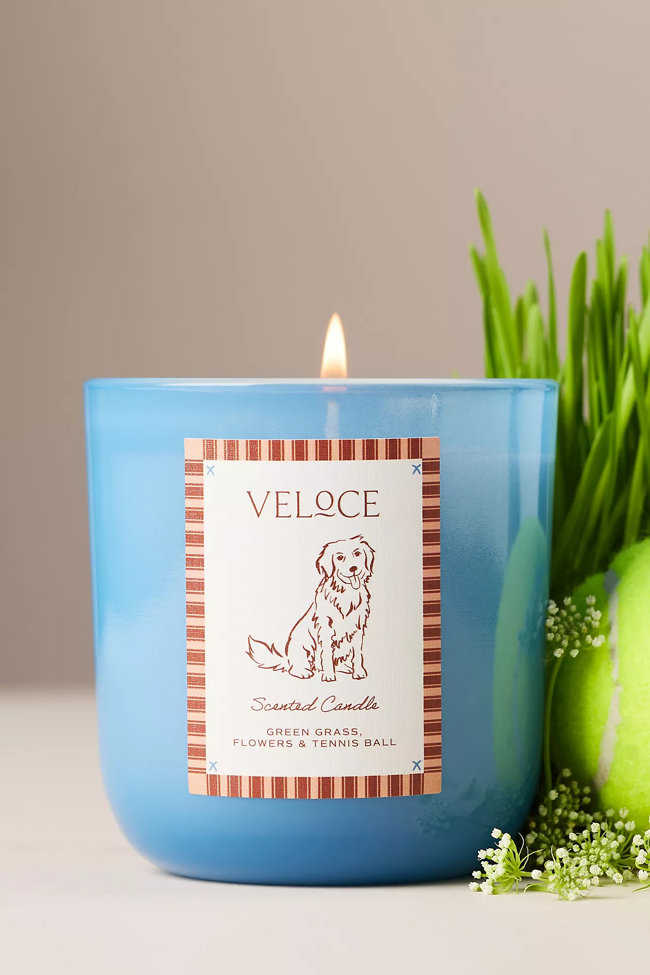 Papier x Anthropologie Fruity Veloce Retriever Glass Candle