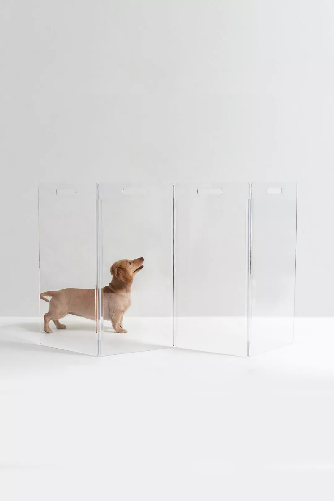 Hiddin Clear Freestanding Gate Zigzag Dog Panel