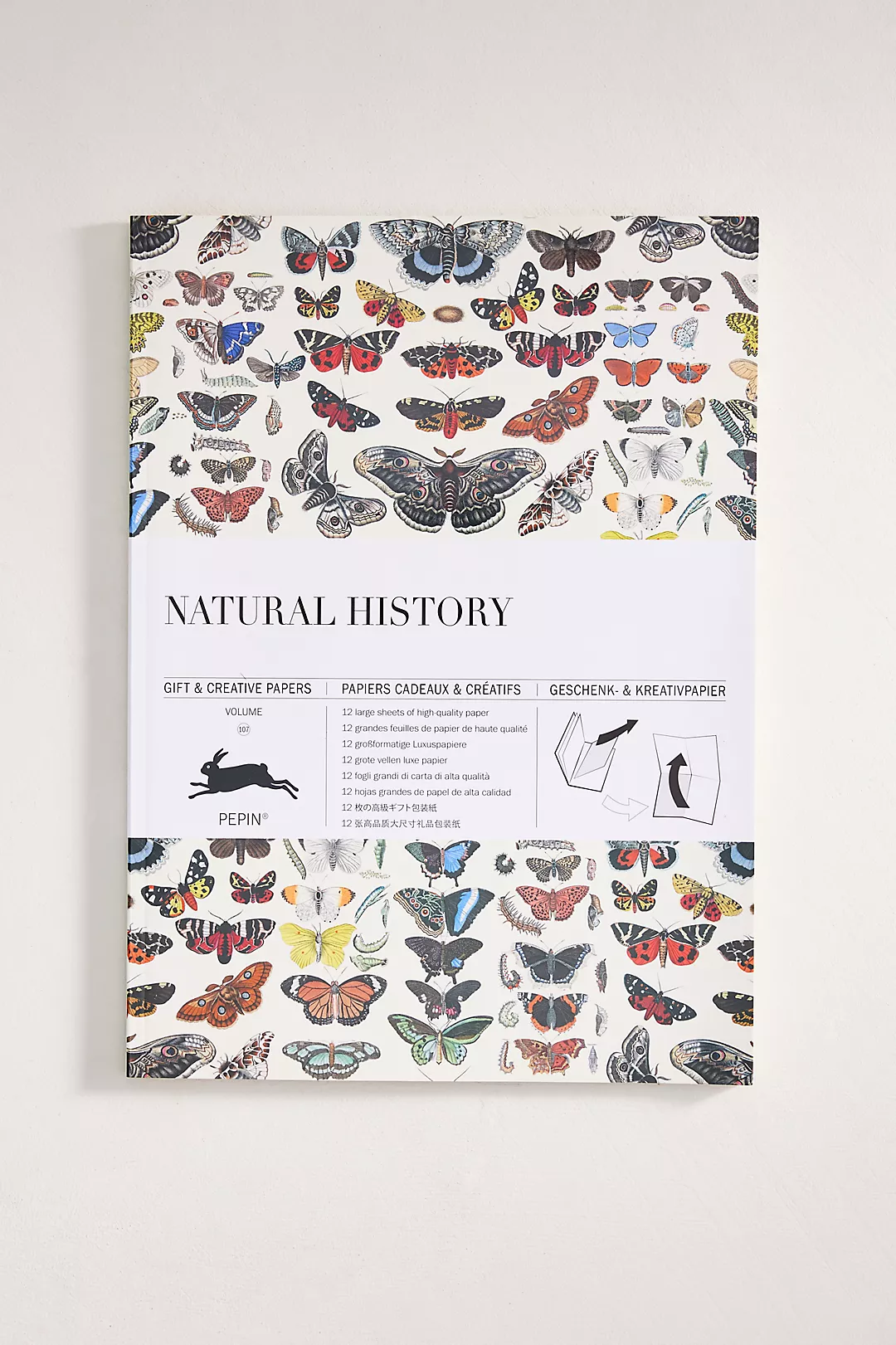 Natural History Gift + Creative Paper Book
