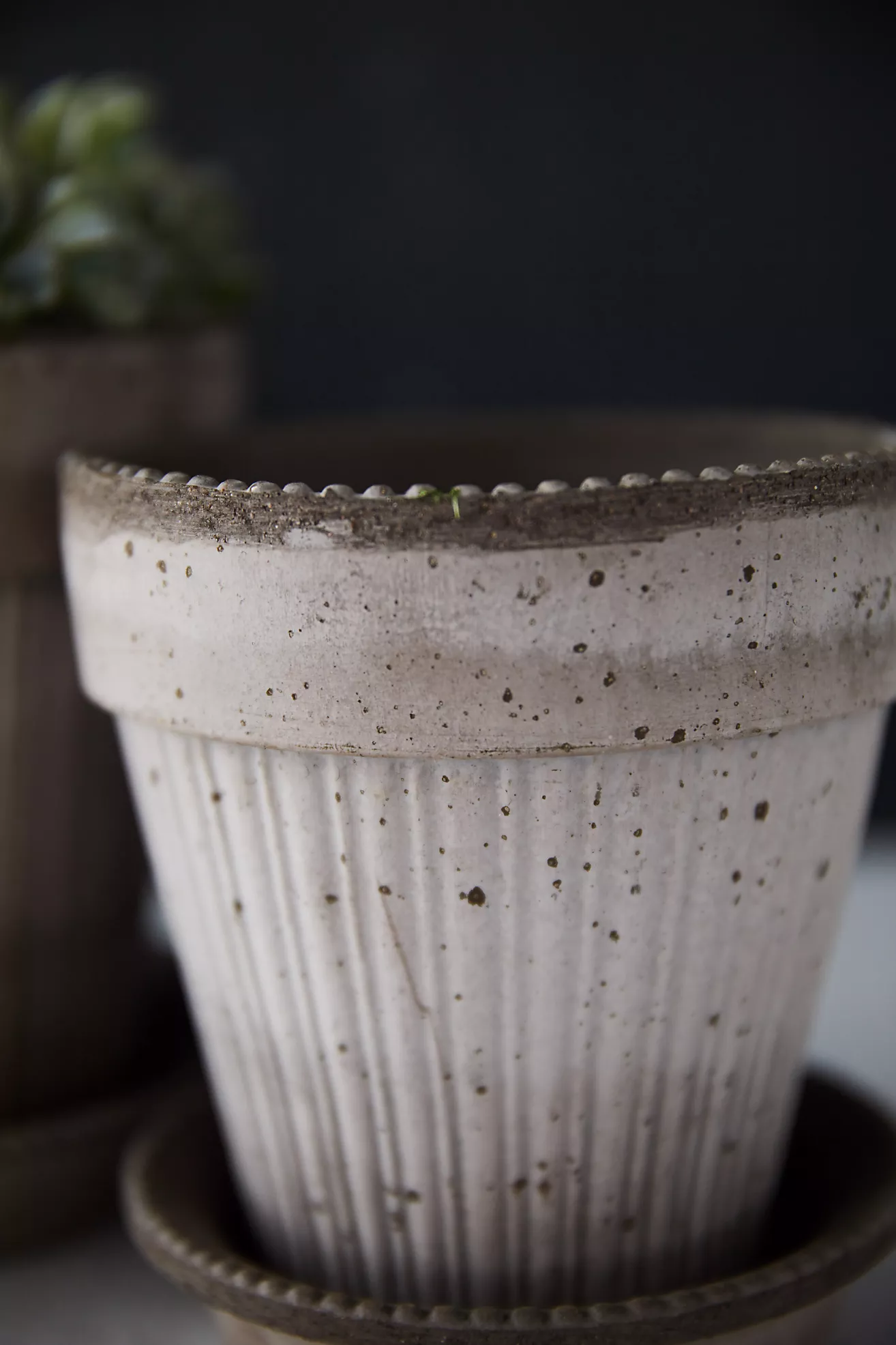 Bergs Simona Terracotta Pot + Saucer Set