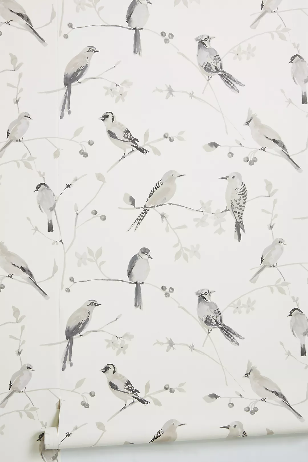 Birdsong Orange Trail Farmhouse Wallpaper