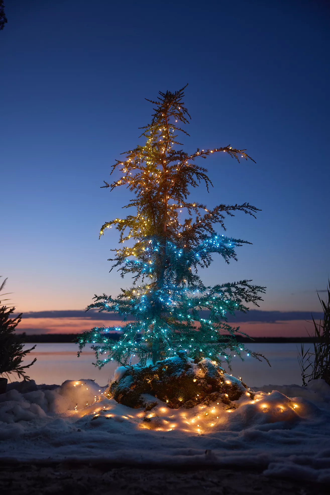 Stargazer Color-Changing Light Strand