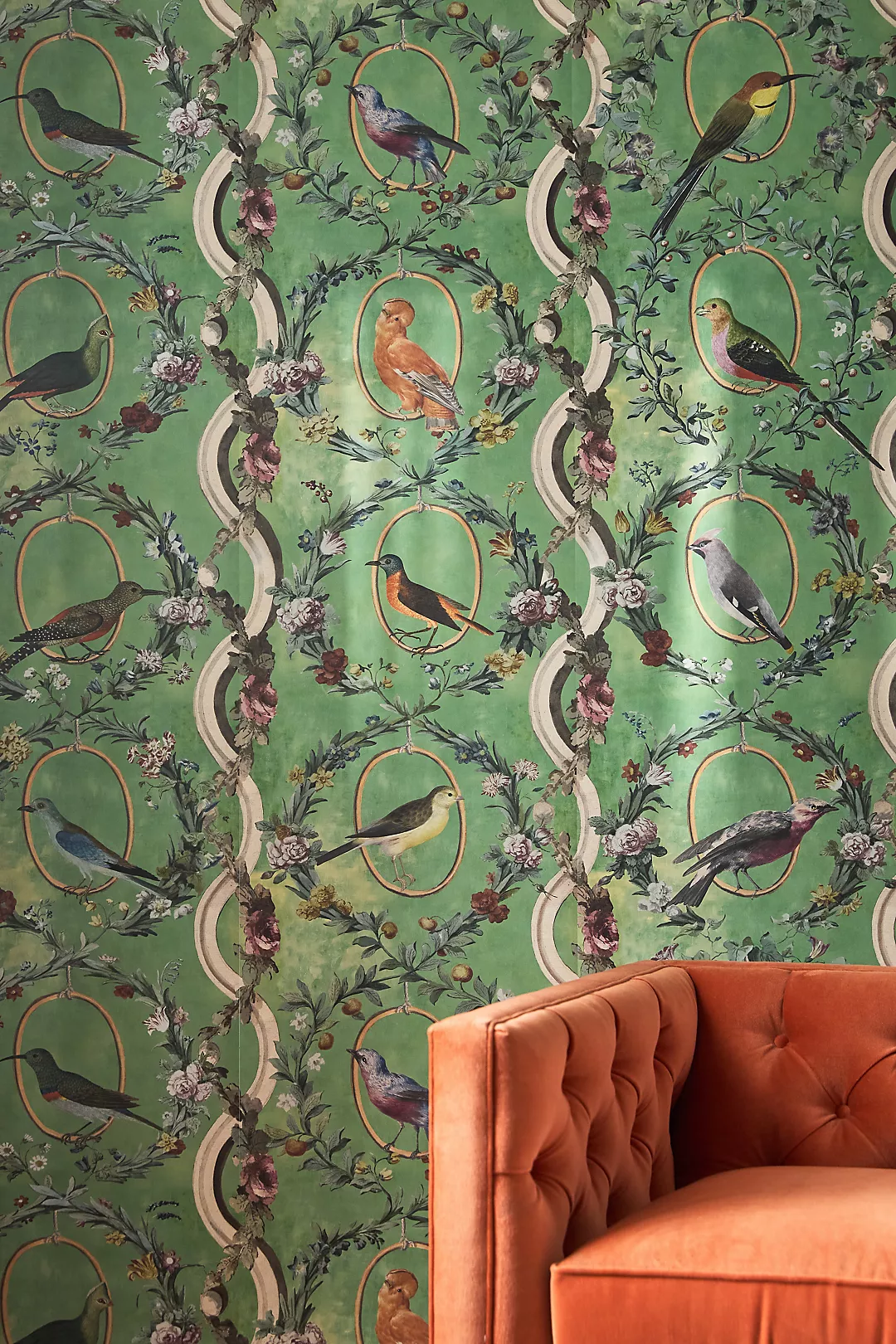 MINDTHEGAP Countesse's Aviarium Birds Wallpaper