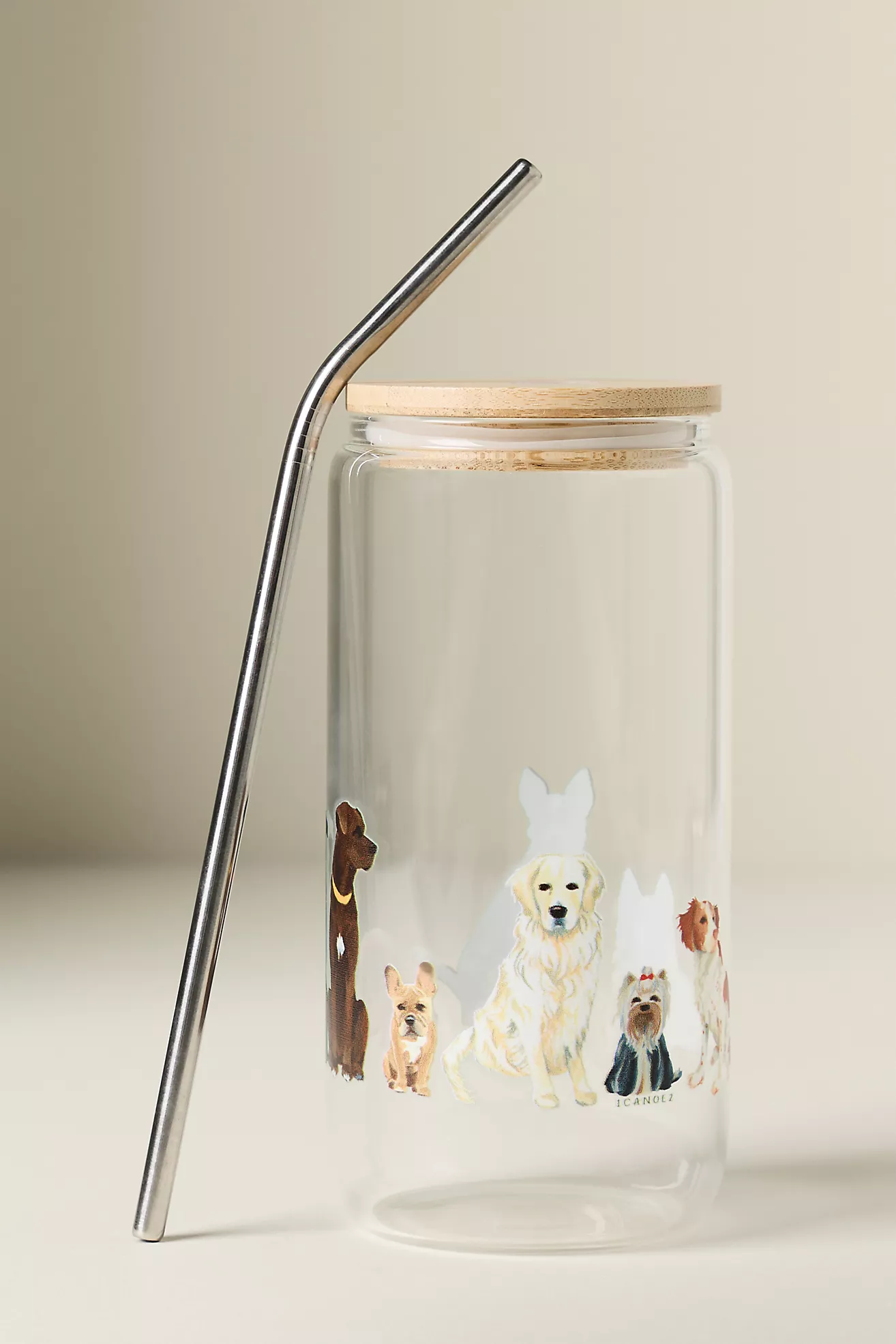 1canoe2 Dog Icon Glass Tumbler with Lid